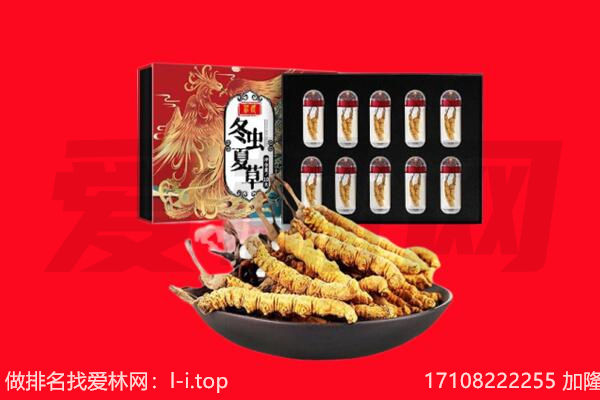 汤旺县回收虫草.jpg